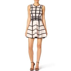Ronny Kobo Window Dress
